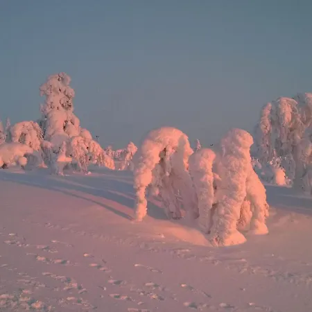 بيت للعطل Moitakuru A10 By Interhome ساريسيلكا