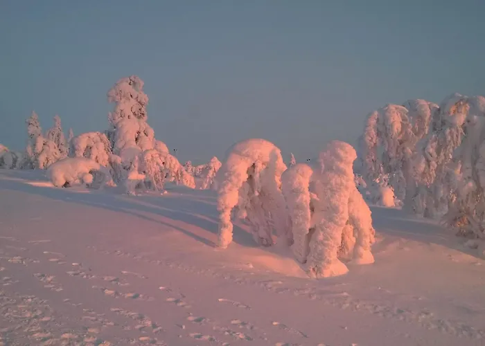 Moitakuru A10 By Interhome Saariselkä